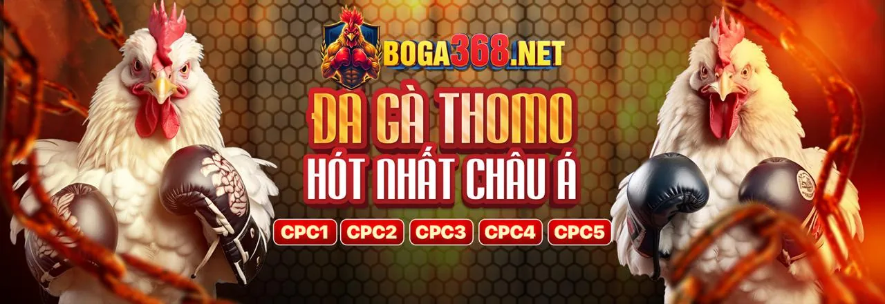 Cập nhật nền tảng và dịch vụ Kubet Code